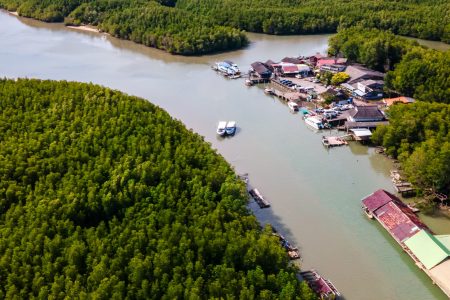 bangrong-community-travel-tourism-phuket-drone-mangrove-forest-5